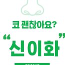 목련꽃차 신이화 알아볼까요 이미지