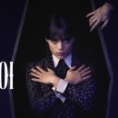 웬즈데이(주)