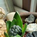 현대상가 이미지