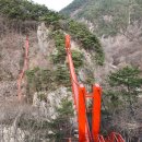 담양495-10 Daum카페