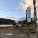 고방골오리 이미지