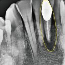 태장고려의원 이미지