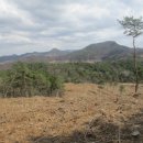 점말농장 이미지