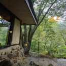 다시오다스테이 이미지