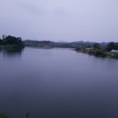 보성군(가장교) Daum카페