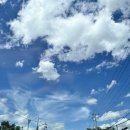 오태동물병원 이미지