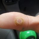 본리점 기아오토큐 이미지