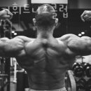 메이저휘트니스클럽 이미지