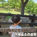 공원 | 거제 아이랑 가볼만한곳 입장료 무료 숲소리공원후기✨