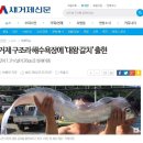 Re:거제 심해어 대왕갈치 출현 이미지