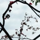 진도 출사 여행 2-남미륵사, 영랑 생가, 대흥사, 운림산방