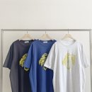 시트러스