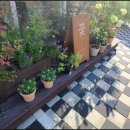 마미플레르 이미지