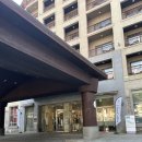 대관령 | 내돈내산ㅣ자연과 스릴을 동시에 평창 대관령 코스터 체험 후기