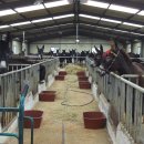 호남농장 이미지