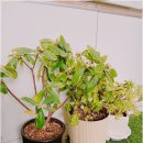 용인모터스 | 내 차 컨디션 되찾은 용인 원탑모터스 방문 솔직 후기