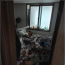 형제클린 이미지