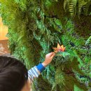 코코푸드 | [롯데백화점 안산점] 코코이찌방야 키즈메뉴 / 안산 롯백 푸드코트 아이 추천메뉴