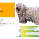 풀리 이미지