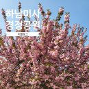 하남미사경정공원 겹벚꽃시기(22.04.24) 주차 피크닉 위치 경기데이트코스 드라이브 가볼만한곳
