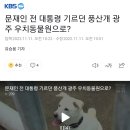 문재인 전 대통령 기르던 풍산개 광주 우치동물원으로? 이미지