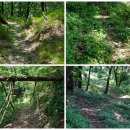 동향면 행정복지센터 이미지