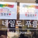 네일도푸름
