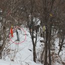 천상데미 | [장수] 팔공산(1151m), 천상데미산 산행후기---2013년 12월 28일(토)