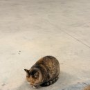 풀라운지 펜션&글램핑 이미지