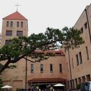 영원공인중개사사무소 이미지