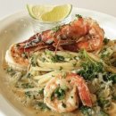 하이캐치 이미지