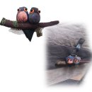 달성토성마을 협동조합 이미지