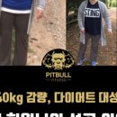 핏불핏 이미지