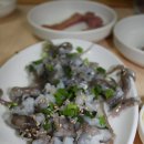 녹동세발낙지 Daum카페