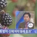 굿아로니아베리