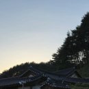 홀로안동