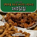 제주도민맛집 | 생맥주를 부르는 바삭한 시장치킨 | 제주닭집 (내돈내산)