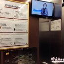 [서울] 토요코인 강남점