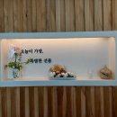이오사(254)