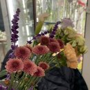 아워데이즈 네이버블로그