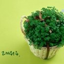 아름다운날 이미지