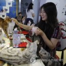 CATS TIME CAFE 이미지