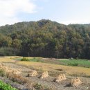 두메산골 이미지