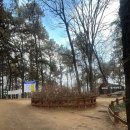 광교산생태학교 | [경기 수원] 경기도 가볍게 등산하기 좋은 산 광교산 형제봉 (448.0m)