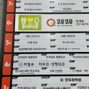 새론동물병원 | 20대 자궁경부암 조직검사 후기, 생리불순 / 새론 산부인과 / 시흥 은계지구 산부인과 추천