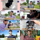 까미농장 이미지