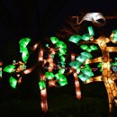 50개천예술제(50 이미지