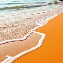 셀루오의원 이미지