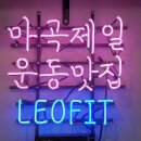 레오핏 이미지