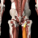 라인업필라테스 이미지